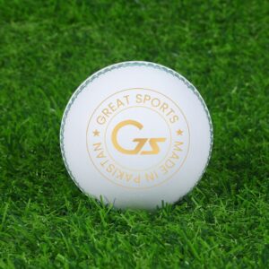 White Cricket Leather Ball