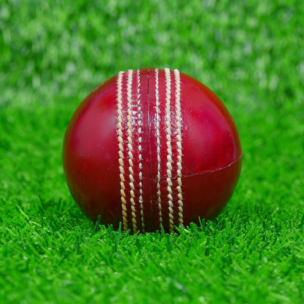 Red Waxed Cricket Hard Ball - Image 2