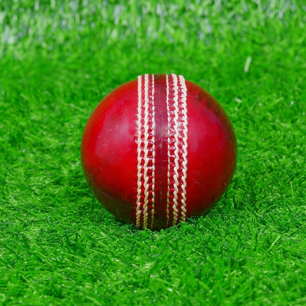 Red Waxed Cricket Hard Ball - Image 2