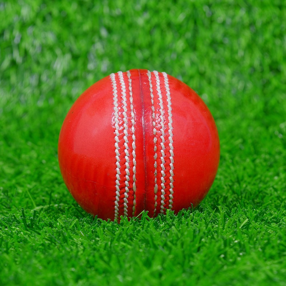 Red Cricket Hard Ball - Image 2