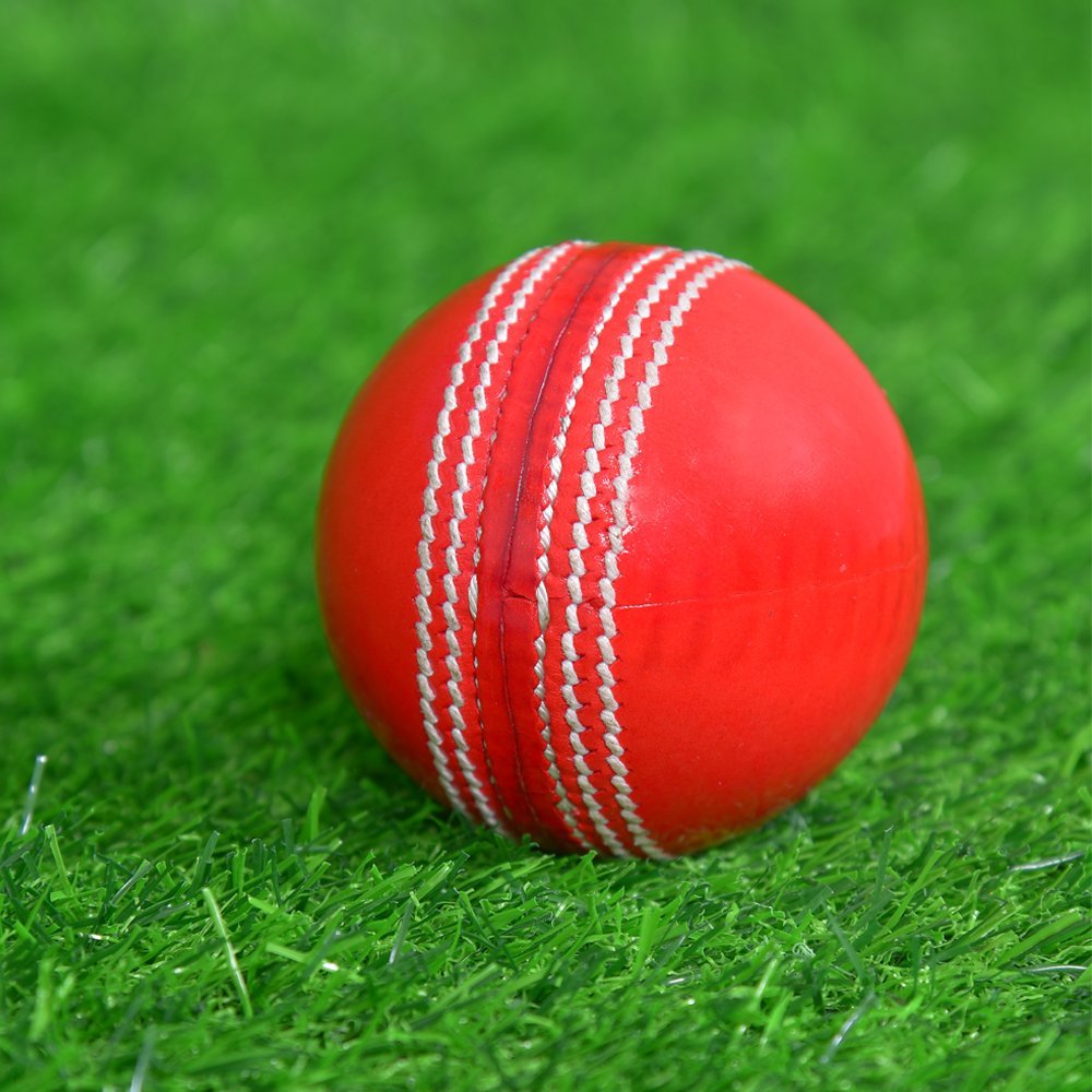 Red Cricket Hard Ball - Image 2