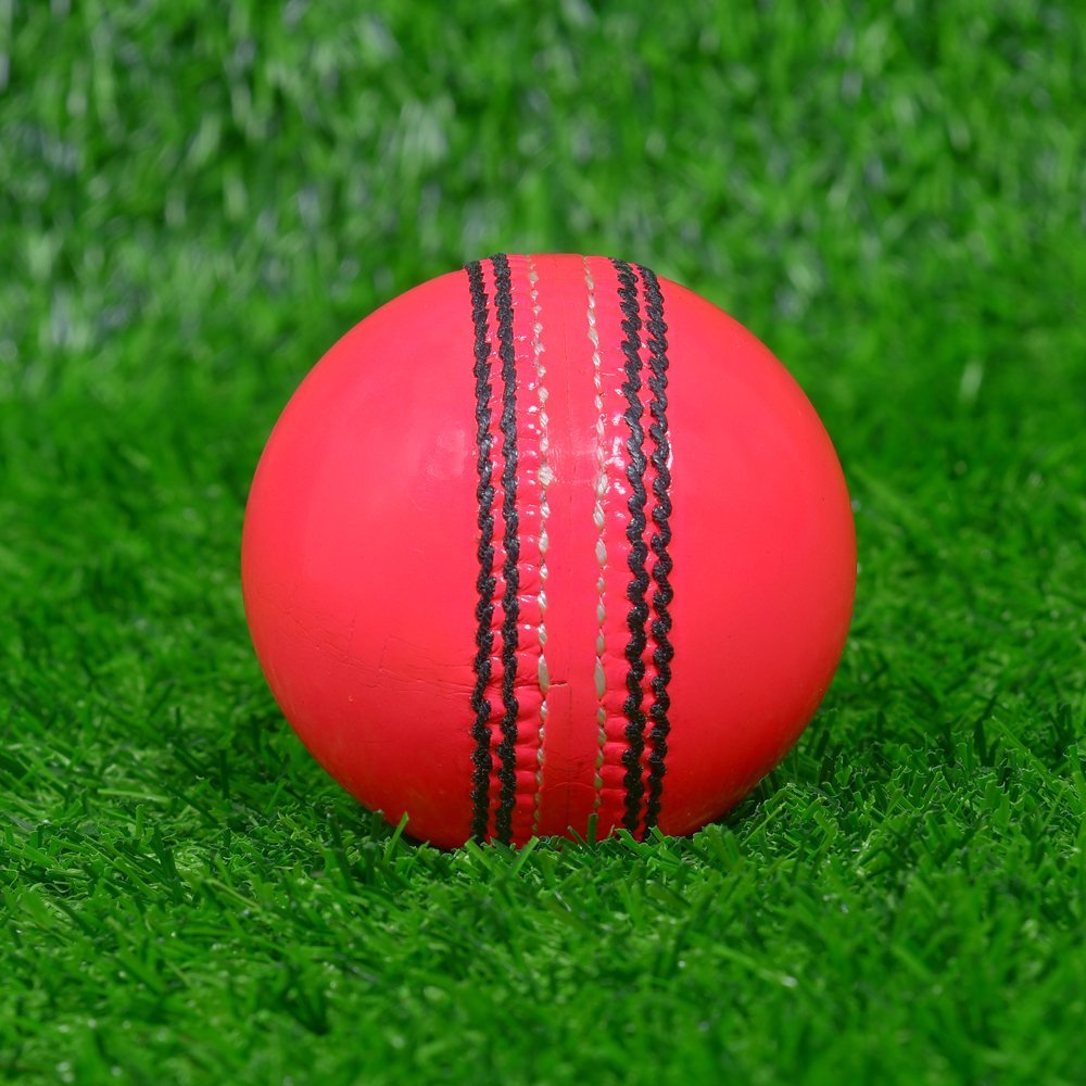 Pink Cricket Hard Ball - Image 2