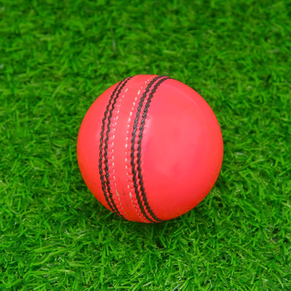 Pink Cricket Hard Ball - Image 2