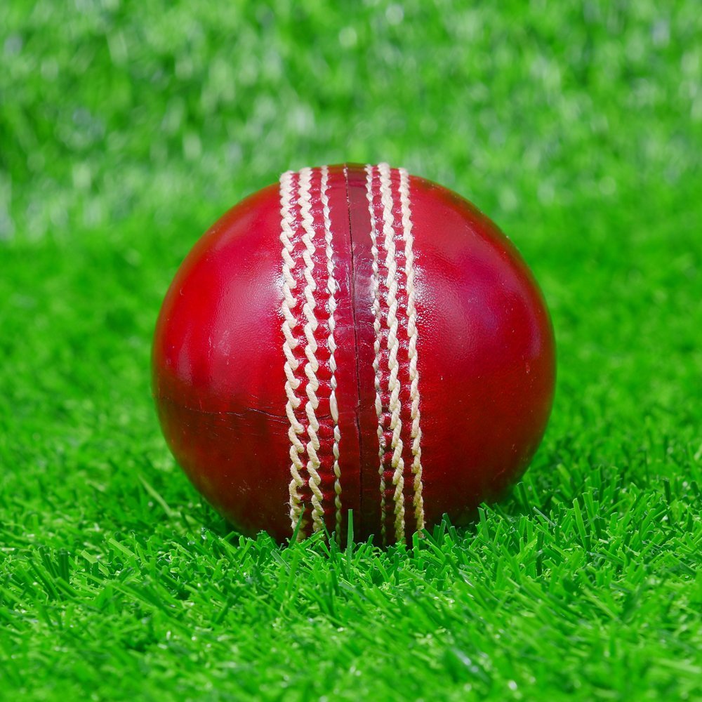 Red Waxed Cricket Hard Ball - Image 2